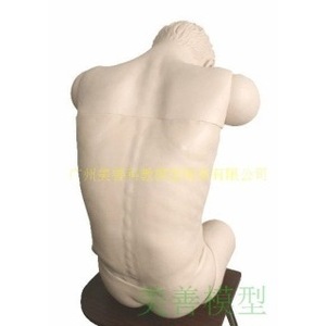 Mannequin d'entraînement complet aux techniques de ponction (position assise inclinée vers l'avant) Modèle d'opération de ponction thoraco-lombaire - Product Image 2