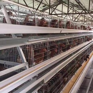 Jaulas de batería para gallinas ponedoras de 3-4 niveles, diseño personalizado, para 6-8 pollos de engorde por gallinero pequeño - Product Image 2