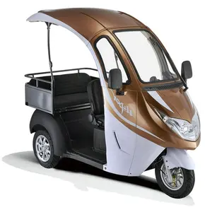 2024 cina fatta adulto triciclo elettrico con sedile del passeggero per il carico