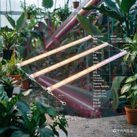 Lampu LED Grow Light Spektrum Penuh 50W IP66 Tahan Air dengan PPE Tinggi 2.6umol/J untuk Pertanian Vertikal Dalam Ruangan