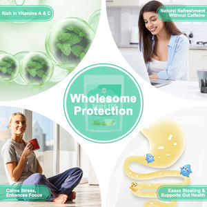 <span class=keywords><strong>ชา</strong></span>สมุนไพรจีนสเปียร์มิ้นต์แท้ 100% แบบซอง สำหรับผ่อนคลายและบรรเทาอาการท้องผูก กระบวน<span class=keywords><strong>การ</strong></span><span class=keywords><strong>ชง</strong></span>เย็น - Product Image 5