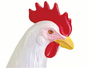 แบบจำลอง<span class=keywords><strong>กายวิภาค</strong></span><span class=keywords><strong>ไก่</strong></span> 32 ชิ้นส่วน ถอดประกอบได้ สำหรับการศึกษาทางวิทยาศาสตร์สัตวแพทย์ ชีววิทยาสัตว์ และการเรียนการสอน - Product Image 2