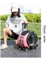 Sac à dos portable transparent en PVC pour animaux de compagnie, grande capacité, pour petits animaux