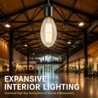 Ampoule LED à filament E40 ED120 en verre transparent, ovale, 280 mm, pour éclairage de cour, rue, entrepôt, rénovation d'éclairage à haut rendement