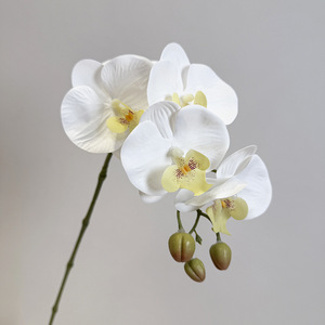 L-R327 Nouveau design, <span class=keywords><strong>bouquet</strong></span> <span class=keywords><strong>de</strong></span> <span class=keywords><strong>fleurs</strong></span> artificielles haut <span class=keywords><strong>de</strong></span> gamme fait main, calla, anthurium, phalaenopsis, amaranthus, pour <span class=keywords><strong>bouquet</strong></span> <span class=keywords><strong>de</strong></span> <span class=keywords><strong>mariée</strong></span> - Product Image 3