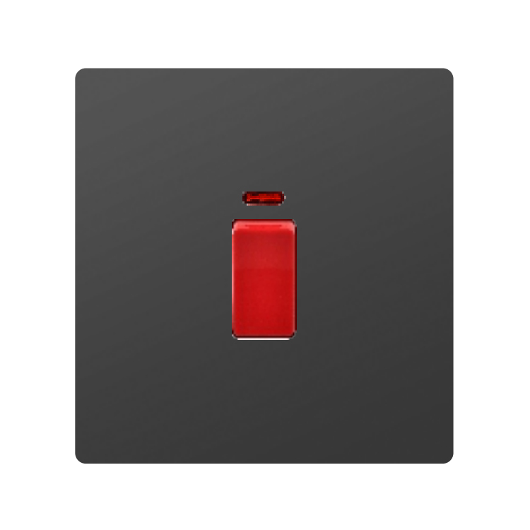 INTERRUPTEUR DP 20A