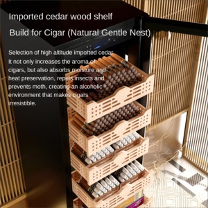 Réfrigérateur à compresseur intégré au gaz de 335 L en acier inoxydable, armoire à cigares pouvant accueillir 2100 cigares, boîte à cigares pour la maison - Product Image 6