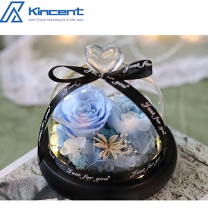 Dos Rosas Eternas en Cúpula de Cristal, Flor Preservada, Rosas Eternas, Caja de Regalo <span class=keywords><strong>para</strong></span> <span class=keywords><strong>el</strong></span> Día de San Valentín y Navidad con Luz - Product Image 5