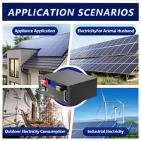 Basen Green 51.2v 48v 100ah 125ah 230ah 300ah 314ah 11kwh 15kwh 16kwh Lityum İyon Lifepo4 Pil Paketi BMS Ekranlı