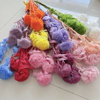 Bahan Bunga Dianthus Awetan Grosir untuk Florist, Buket Pernikahan, Rangkaian Bunga, Kerajinan DIY