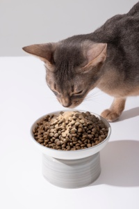 Lovidovi OEM ODM Complément alimentaire en poudre d'œuf pour chats, pour la santé quotidienne avec formule anti-allergie, 3 réducteurs d'allergènes en bandes individuelles - Product Image 6
