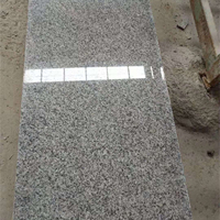 Pierre naturelle gris grand panneau granit poli comptoir G602 plaque de granit pour le marché du mexique
