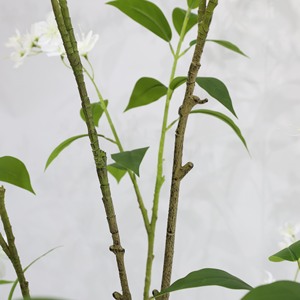 <span class=keywords><strong>Jazmín</strong></span> Artificial de Alta Gama, Árbol de <span class=keywords><strong>Jazmín</strong></span> Llorón, Decoración para Ventanas Interiores, Planta Verde Biónica, Bonsái Artificial - Product Image 4