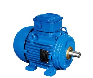 Moteur à induction WEG NEME d'origine B3 B5 30HP 40HP 50HP 60HP 75HP 100HP 125HP 175HP 60Hz triphasé - Product Image 4