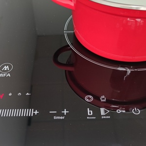 Travel Electric Cooker Induction Stoves 120V 220V - Product Image 5