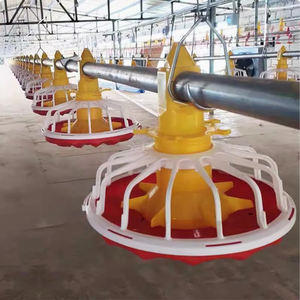 Distributeurs Automatiques d'Aliments et Abreuvoirs pour Volailles et Poulets - Product Image 4