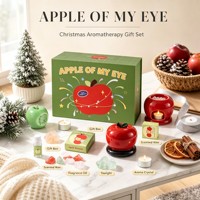 Coffret Cadeau Aromathérapie Pomme FANDOOS – Chauffe-Bougie de Noël, Cire Parfumée, Huile Aromatique, Cristal Parfumé, Boîte Cadeau