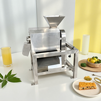 Industriële mango-, ananas- en passievruchtenpulper, fruitpulp- en sapmachines, productielijn, fabriek