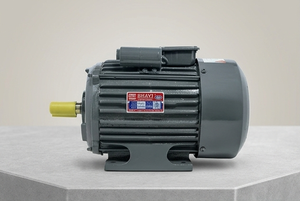 มอเตอร์เหนี่ยวนำเฟสเดียว BI-3-SPL-CI 5 แรงม้า 3.7 กิโลวัตต์ 210-230 โวลต์ 1440 รอบต่อนาที TEFC CSCR ฐานเหล็กหล่อ - Product Image 6