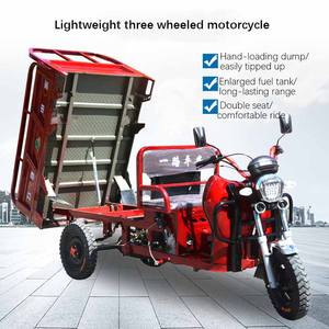 Tricycle Cargo de <span class=keywords><strong>Moto</strong></span> à Faible Consommation de Carburant, Tricycle à Moteur 3 <span class=keywords><strong>Roues</strong></span>, Tricycle Motorisé à Essence - Product Image 2