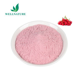 Wellnature Malpighia Glabra Arbre Poudre Pure Acérola Vc 100% Sour Aconiola Cherry Extract - Product Image 3