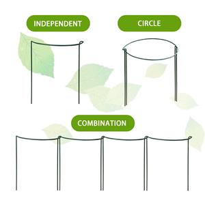 Piquets de Soutien Demi-Ronds Robustes pour Plantes, Lot de 5 pour Pivoines et Tomates, Meilleure Vente sur le Thème du Bricolage en Jardin - Product Image 2