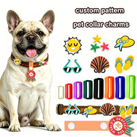 Colliers pour chiens personnalisables avec breloques – Collier pour chien imperméable personnalisé avec breloques, idéal pour l'été et la plage