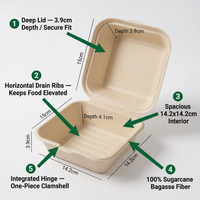 6 inch biologisch afbreekbare, waterbestendige, magnetronbestendige hamburgerverpakking van suikerrietpulp, clamshell doos voor lunch