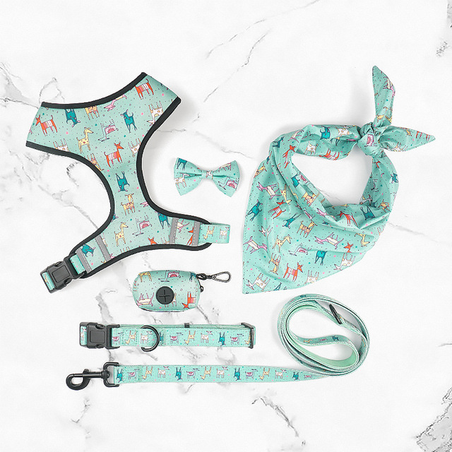 6-pcs Set Dog Outdoor Walking Accessories Custom logo Adjustable Designer Polyester Pet Harness Set