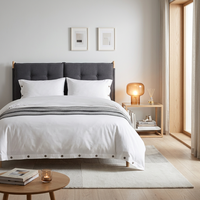 Parure de lit 3 pièces moderne unie avec housse de couette boutonnée, linge de lit doux et confortable pour la vente en gros aux hôtels et complexes hôteliers