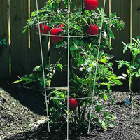 Prix d'usine – Cage de soutien inversée en fil de fer galvanisé pour tomates, treillis pour jardin domestique, application pour la protection des plantes