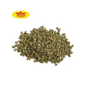 18-screen Processing Type Arabica Green raw Wholesale Coffee Beans made in Vietnam