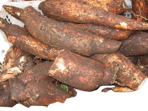 Khoai mì chiên tươi chất lượng cao của Watson - 100% tự nhiên, hạn sử dụng 12 tháng - Product Image 2