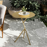Table basse latérale ronde durable de style de conception de ferme en métal pour le patio de salon