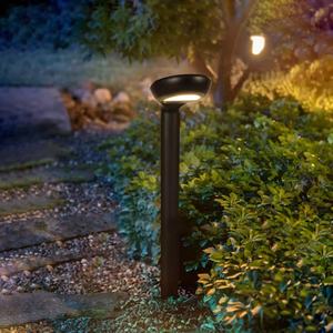 Lampe solaire de jardin populaire avec source de lumière LED, éclairage solaire étanche pour extérieur, jardin, cour, parc, décoration - Product Image 3