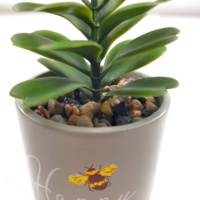 Pot de fleurs en céramique et marbre de Style moderne, Pots de plantes succulentes/Cactus, Pots de bonsaï