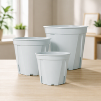 Vente en gros de pots à bonsaï contemporains, mignons, de grande taille, en plastique coloré, pour semis, avec trou de drainage, pour utilisation en jardin, légers et durables