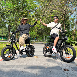 EB2 EB4 合金铝制宽胎电动越野车 20 英寸 48V 18.2Ah 锂电池 500W 7 速齿轮 液压刹车 欧盟标准 - Product Image 2