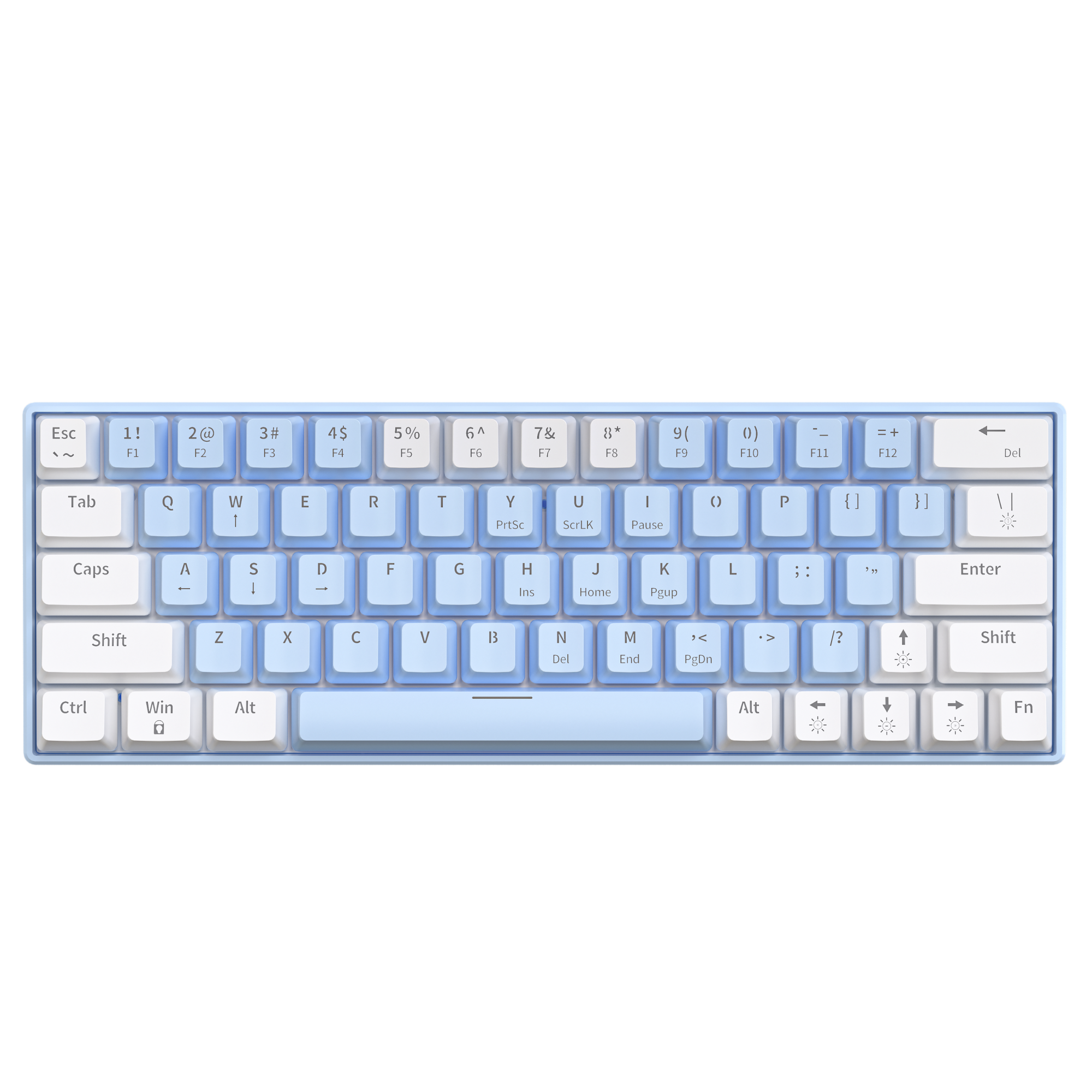 T62-63Keys-Blue White