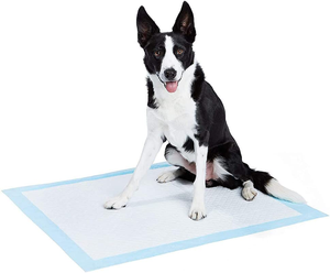 Almohadilla Protectora Desechable para Adultos, Transpirable, Hipoalergénica, para Personas Mayores - Product Image 4