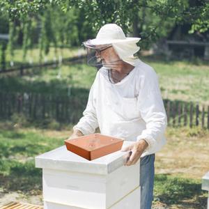 CHINABEES alat pemberi makan lebah persegi alat penjaga lebah kapasitas besar tidak beracun perlengkapan madu pengumpan air lebah air untuk Apiary - Product Image 2