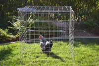 Cage à poulet carrée enduite de PVC Offre Spéciale pour des coqs de combat de coqs Cage à poulet pliable/pliable