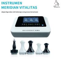Appareil de massage Meridian BES, massage bio-électrique, stimulation électrique, thérapie par résonance multi-fréquence, usage familial