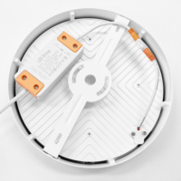 Panneau lumineux à LED 16W 24W 30W pour le salon Montage en surface intérieur Plafond et éclairage LED rond Lumineux et polyvalent