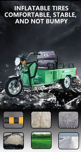 Tricycle - Product Image 6