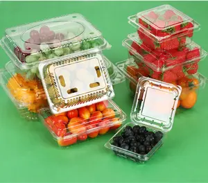 Kotak Kemasan Makanan Kulit Kerang Plastik Sekali Pakai Kustom Kotak Kemasan Makanan Segar Hewan Peliharaan Bening untuk Supermarket