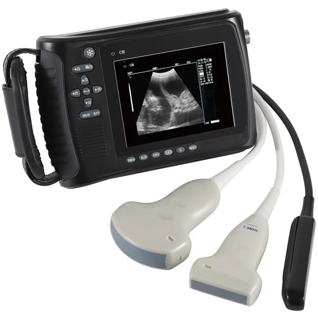 Hand Held Ultrasound Veterinary Equipment Handheld Ultrasound Scanner Vet Ultrasound Machine with Ultrasonic Probe