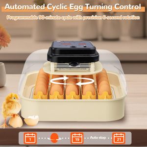 Incubatrice per 30 Uova con Rotazione Automatica, Controllo dell'Umidità, Sperauova Integrato, per Quaglie, Anatre, Polli, Pappagalli, Tasso di Schiusa del 98% - Product Image 6