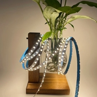 Enseigne néon LED personnalisée 6*9mm, lumière murale colorée en acrylique flexible pour décoration de fête et de bar, longueur 50m, rouge, bleu, vert, CCT