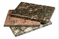 Carreaux de granit résistants aux acides, revêtements et sols en pierre résistants aux produits chimiques pour usage industriel et en laboratoire